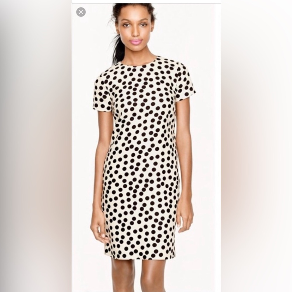 J.Crew Scattered Dot Shift Dress Size 6